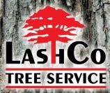 lashco-crop-logo-2